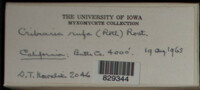 Image Associated With the Occurence